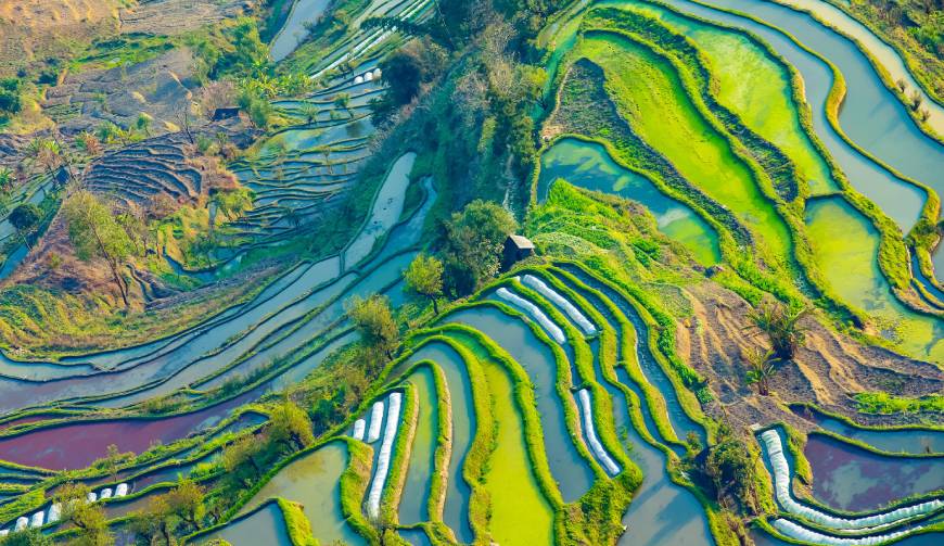 走进郑州TVC拍摄：解锁本地化场景与创意镜头的完美融合
